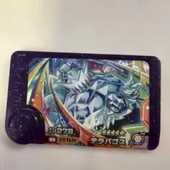 ポケモンフレンダ テラパゴススーパート レジャー