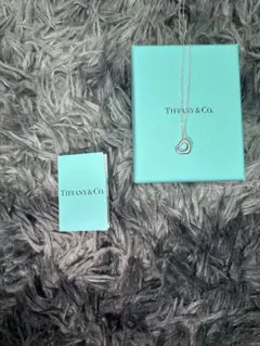 Tiffany & Co. シルバーチェーンネックレス T132 - メルカリ