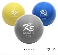 ⭐️球速アップトレーニング プライオボール 6個 KMHクロス付 - メルカリ
