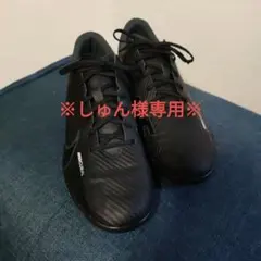 Item thumbnail for item 40a9a6dd-618b-4e51-aa48-e758b39f81b7