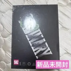 Stray Kids ODDINARY 限定盤 新品未開封