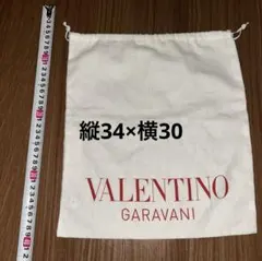 VALENTINO GARAVANI 保存袋 巾着袋のサムネイル
