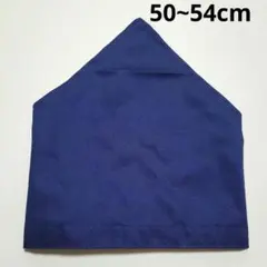 Item thumbnail for item 775840e6-5d6e-46ba-976d-0ed9c85066ee