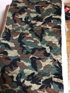 Item thumbnail for item f1500449-b232-4be2-b681-57e0b9420ae3