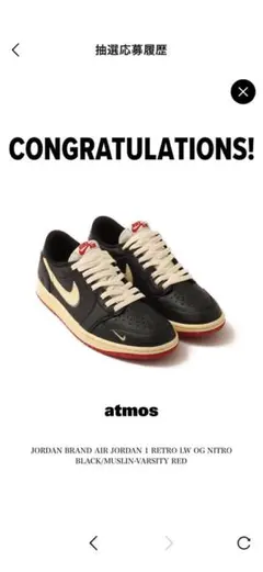 【新品未使用】Nigel Sylvester ×Nike Air Jordan1