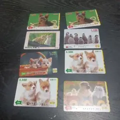 犬と猫のトレーディングカードセット　使用済みバスカード、テレホンカード31枚