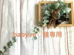 baby.m♡様専用