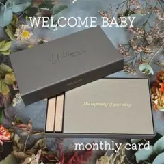 Item thumbnail for item 24d534a2-c8e3-4b79-8378-3875d7abdb24