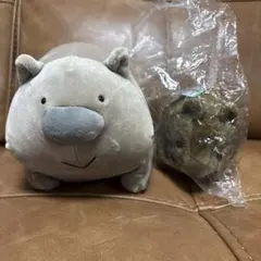 2025年最新】ウォンバット ぬいぐるみ 茶臼山の人気アイテム - メルカリ