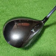 Item thumbnail for item c1ed8de0-6ddc-492d-a0e4-404c07cb795f