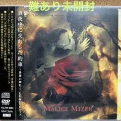2026年最新】MALICE MIZER dvdの人気アイテム - メルカリ