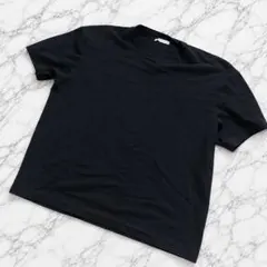 ☆早い者勝ち☆ ZARA メンズTシャツ　黒T ブラック　L