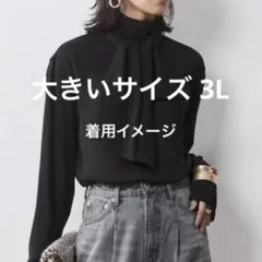 【新品】 大きいサイズ 3L CHICSTYLE シャツ ブラウス ブラック