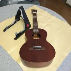 Item thumbnail for item d2918643-b93d-4726-9fde-c22a763bd3f6