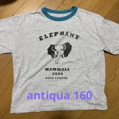 antiqua キッズ160 アニマルtシャツのサムネイル