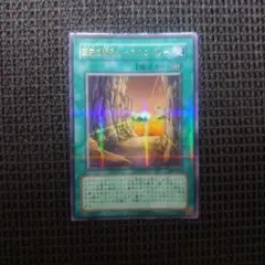 遊戯王 王家の眠る谷ネクロバレー ウルトラパラレル - メルカリ