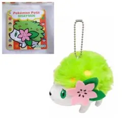 ポケモンセンター Pokémon Petit シェイミ マスコット