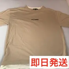 【即日発送可】 ベージュ トレーナー　Tシャツ　Lサイズ