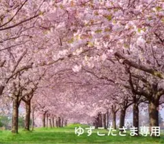 ゆずこたさま専用ページです。