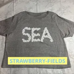 STRAWBERRY-FIELDS 丈短め半袖Tシャツ グレーのサムネイル