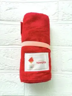 Item thumbnail for item 33e87bb1-f385-4bc9-9586-2cd535b07ee5