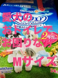 Item thumbnail for item 841f6a4e-ab1b-4f9b-bdf8-172b25a85a4c