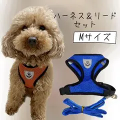 ハーネス リードセット Mサイズ  ブルー 青 犬用 リード お散歩 小型犬