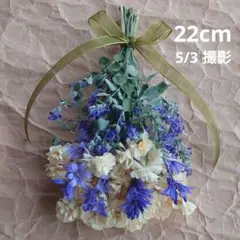 白＆青 水仙とキャットミントのドライフラワー スワッグ # 378のサムネイル