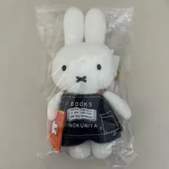 Item thumbnail for item b04f2a9b-94fb-4883-a16c-85965843df4a