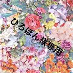 ひろぽん様専用