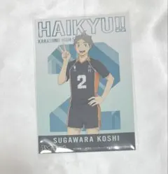 ハイキュー!! 菅原孝支 ポストカード