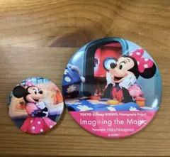 イマジニング・ザ・マジック　缶バッチ2個　ミニーマウス　実写デザイン