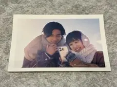 隣のステラ　入場者特典