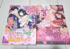 冷徹御曹司と極上の一夜に溺れたら愛を孕みました　2冊セット
