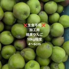 生食不可　加工用 摘果りんご 約10kg　4〜6cmのサムネイル