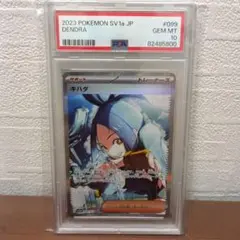 2026年最新】キハダ sar psa9の人気アイテム - メルカリ