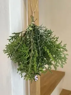 【数量限定】クリスマス　スワッグ　リース　ドライフラワー　ナチュラル　コニファー