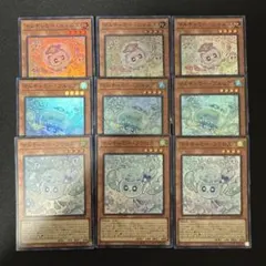 遊戯王 マルチャミー 3コン セット スーパー 9枚