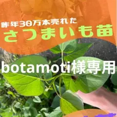 botamoti様専用