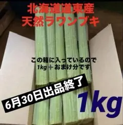 北海道道東産 天然ラワンブキ 北海道道東産 天然ラワンブキ - メルカリ