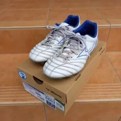 Item thumbnail for item f664b31e-77db-4c46-a255-b98dd5430eca