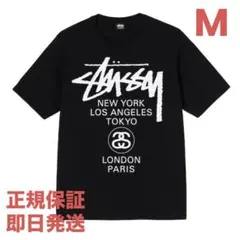 ❗️期間限定SALE❗️ステューシー WORLD TOUR TEE ブラックM