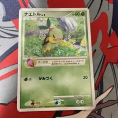ポケモンカード ナエトル 001/PPP プレイヤーズ プロモ 2007 - メルカリ