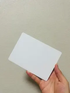 Apple Magic Trackpad 2 (Lightning)