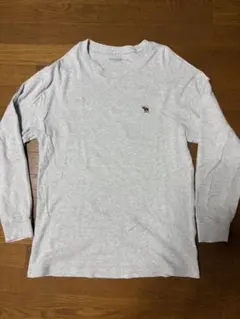Abercrombie & Fitch ソフトワッフル ロンT グレー