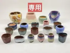 ＰＰ様 リクエスト 2点 まとめ商品　多肉植物ポット　ミニ盆栽鉢