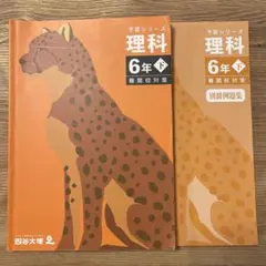 四谷大塚 予習シリーズ 理科 6年 下 難関校対策