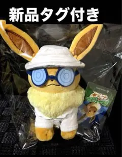 ポケットモンスター グレイシアポンチョを着たイーブイ ぬいぐるみ