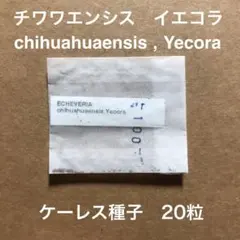 tuuuuu様 リクエスト 3点 まとめ商品