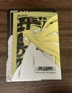 BLEACH ブリーチ 扉絵ポストカードコレクション 平子真子 日番谷冬獅郎 Amazon.co.jp: BLEACH ブリーチ 扉絵ポストカード 平子真子